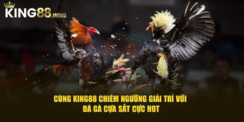 Review về luật chơi đá gà King88