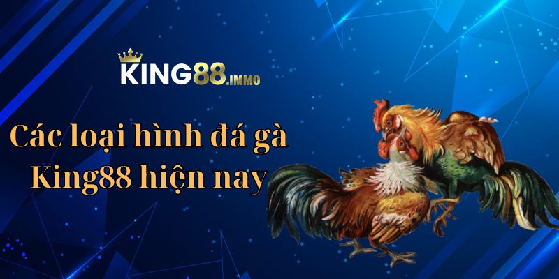 Những loại hình cá cược đá gà King88