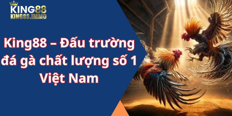 King88 - Đấu trường đá gà chất lượng số 1 Việt Nam