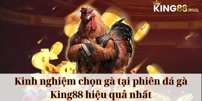 Cách chọn tướng gà đá chuẩn nhất tại King88